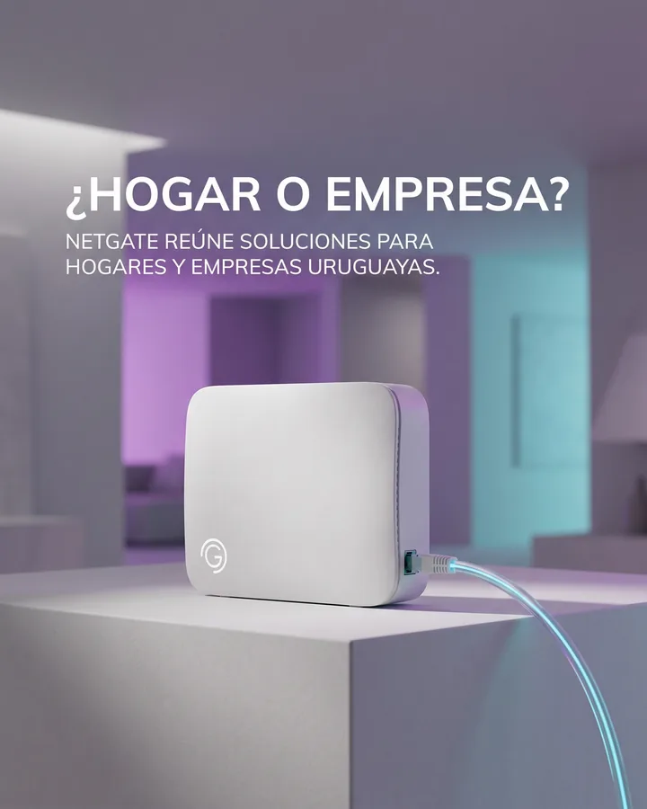 Carrusel hecho con Postea para Netgate: portada con un módem blanco sobre un pedestal y un cable que brilla, en un living violeta; titular «¿Hogar o empresa?»